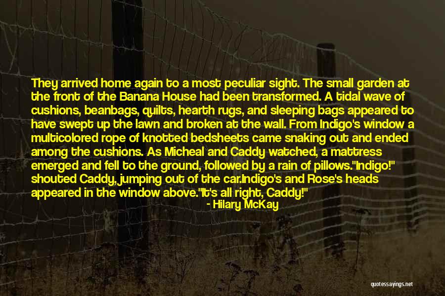 Caddy Quotes By Hilary McKay Caddy Quotes By Hilary McKay
