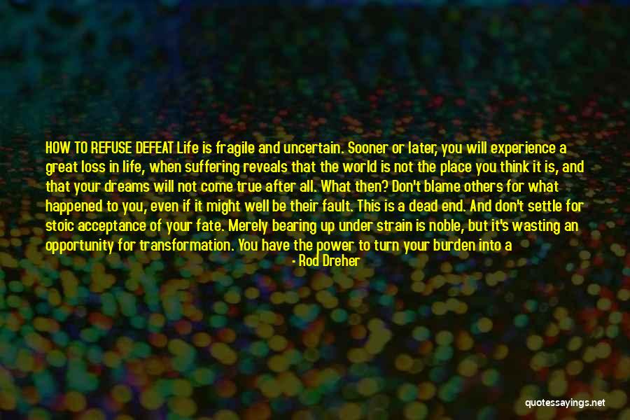 Cadens Birthday Quotes By Rod Dreher Cadens Birthday Quotes By Rod Dreher