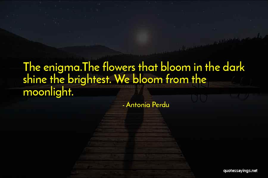 Cadmium Periodic Table Quotes By Antonia Perdu Cadmium Periodic Table Quotes By Antonia Perdu