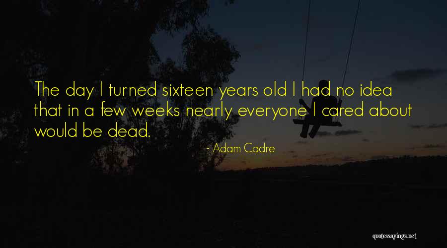 Cadre Quotes By Adam Cadre