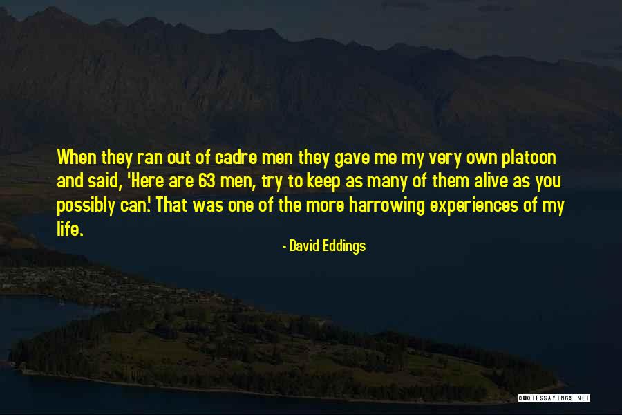 Cadre Quotes By David Eddings