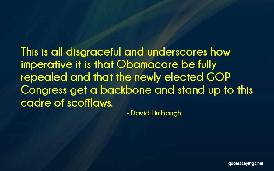 Cadre Quotes By David Limbaugh