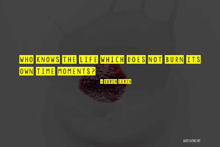 Caemmerer Park Quotes By Sorin Cerin Caemmerer Park Quotes By Sorin Cerin