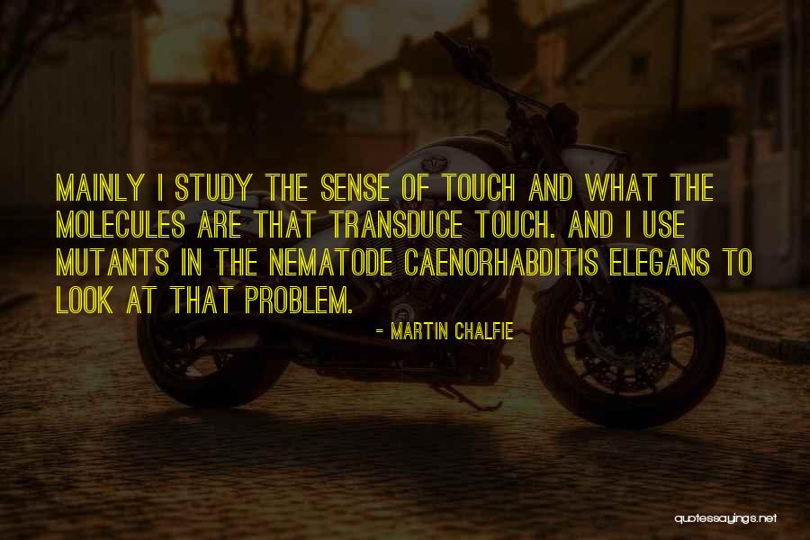 Caenorhabditis Elegans Quotes By Martin Chalfie Caenorhabditis Elegans Quotes By Martin Chalfie