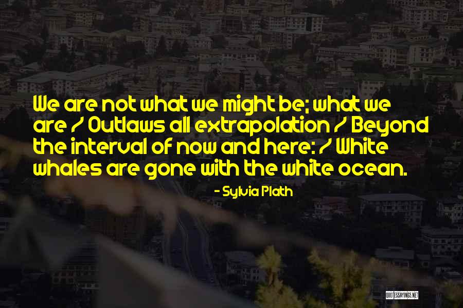 Caenorhabditis Elegans Quotes By Sylvia Plath Caenorhabditis Elegans Quotes By Sylvia Plath