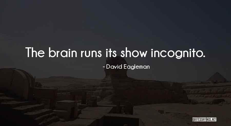Caesarea Map Quotes By David Eagleman Caesarea Map Quotes By David Eagleman