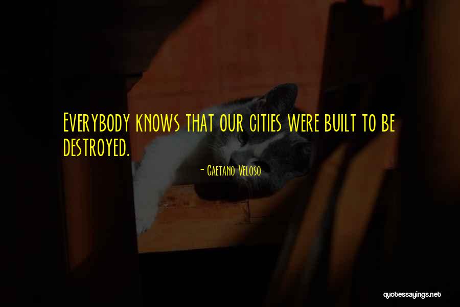 Caetano Veloso Quotes 928698 Caetano Veloso Quotes 928698