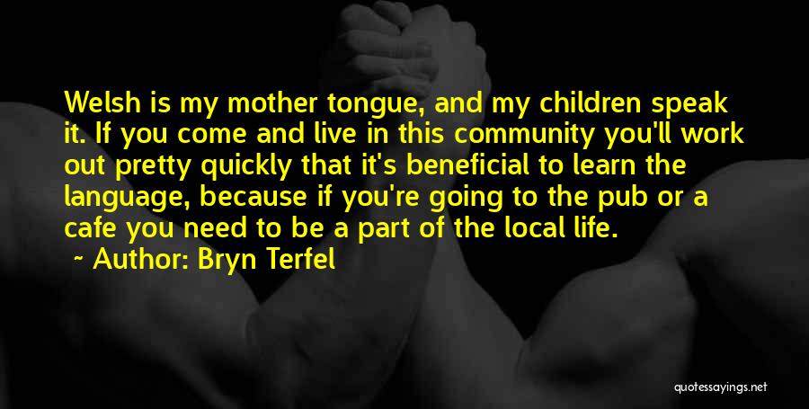 Cafe Life Quotes By Bryn Terfel