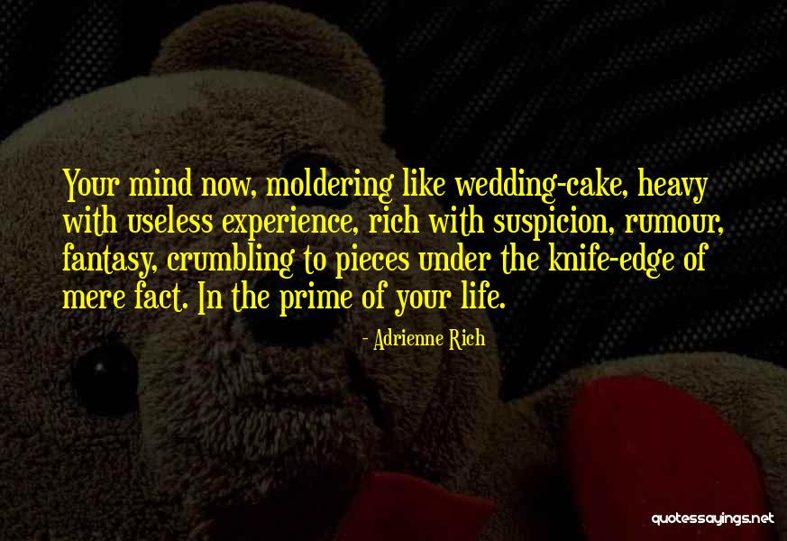Cafecito Caliente Quotes By Adrienne Rich Cafecito Caliente Quotes By Adrienne Rich