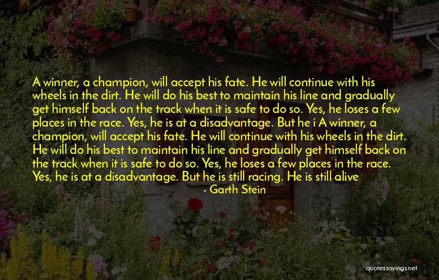 Cafenea Mobila Quotes By Garth Stein Cafenea Mobila Quotes By Garth Stein
