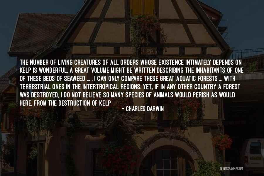 Caftan Marocain Quotes By Charles Darwin Caftan Marocain Quotes By Charles Darwin