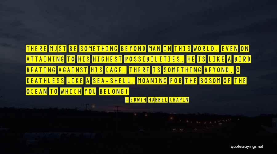 Cage Bird Quotes By Edwin Hubbel Chapin Cage Bird Quotes By Edwin Hubbel Chapin