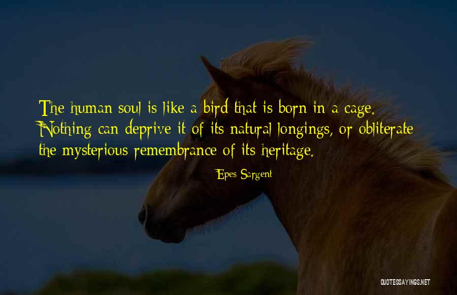 Cage Bird Quotes By Epes Sargent Cage Bird Quotes By Epes Sargent
