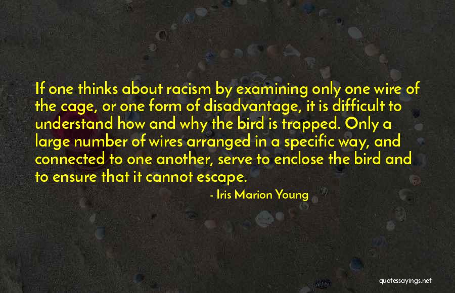Cage Bird Quotes By Iris Marion Young Cage Bird Quotes By Iris Marion Young