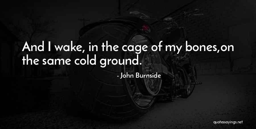Cage Bird Quotes By John Burnside Cage Bird Quotes By John Burnside