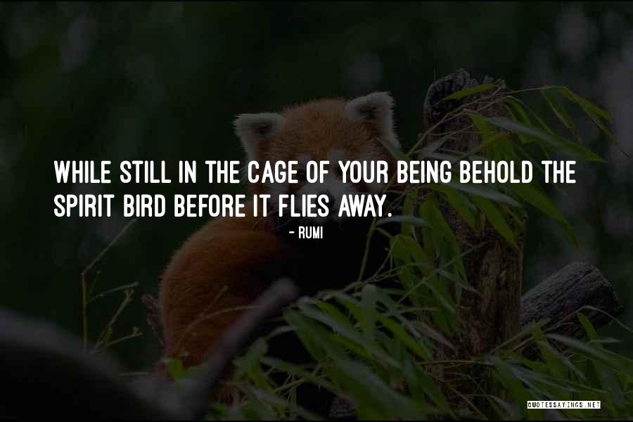 Cage Bird Quotes By Rumi Cage Bird Quotes By Rumi