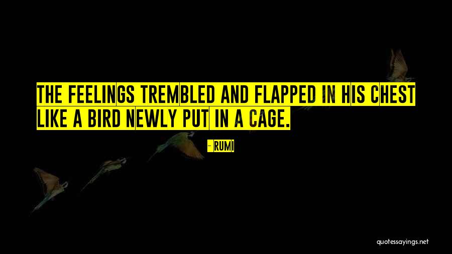 Cage Bird Quotes By Rumi