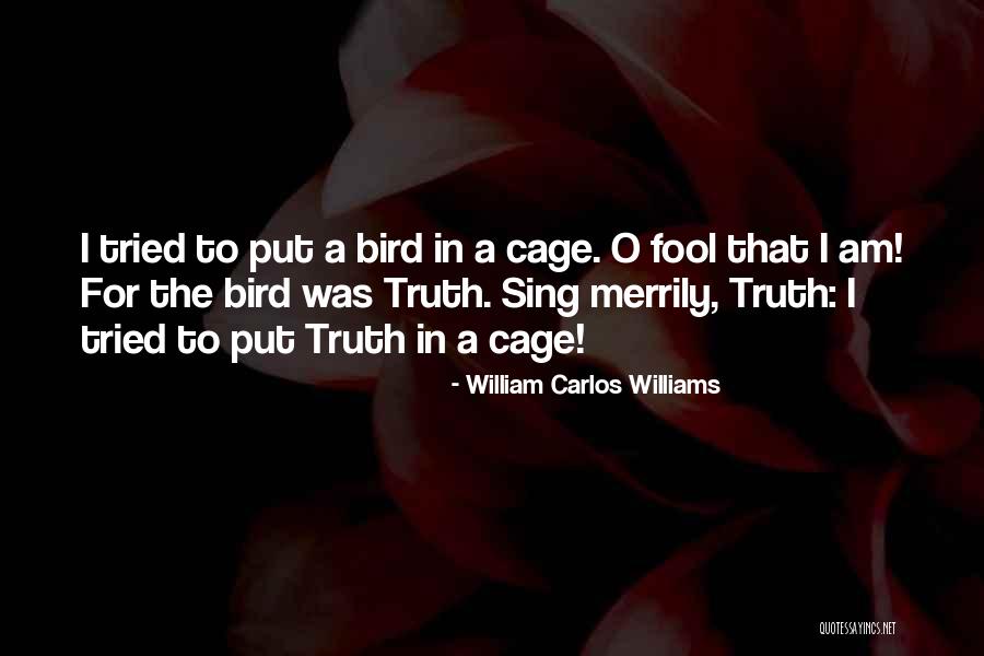 Cage Bird Quotes By William Carlos Williams Cage Bird Quotes By William Carlos Williams