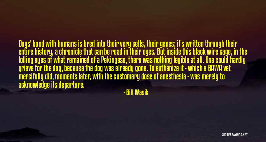 Cage Quotes By Bill Wasik