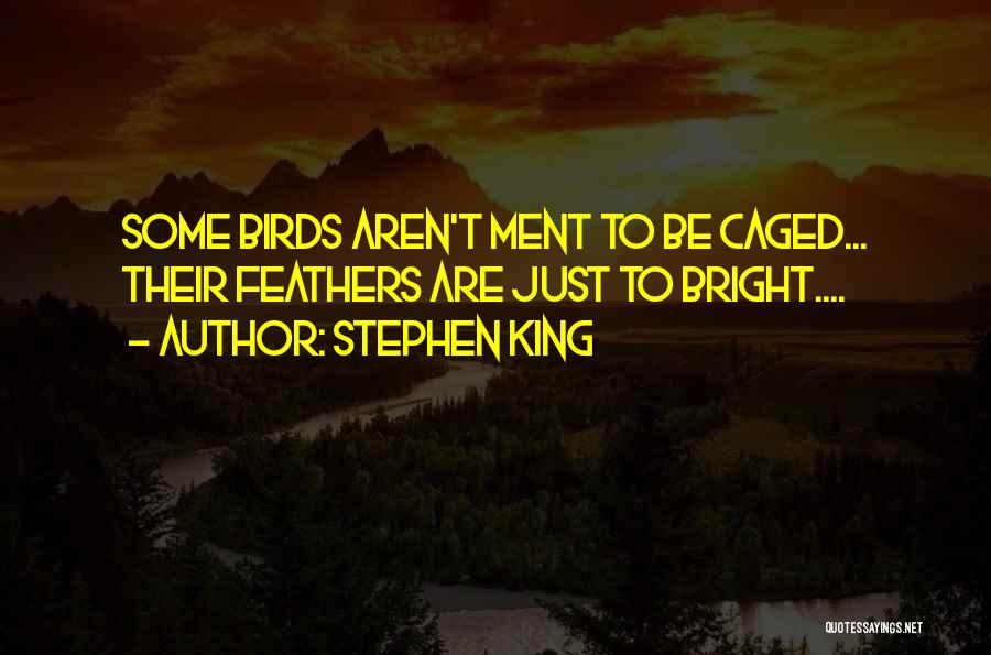 Caged Up Quotes By Stephen King