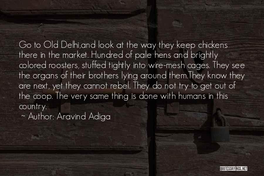 Cages Quotes By Aravind Adiga