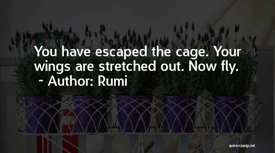 Cages Quotes By Rumi