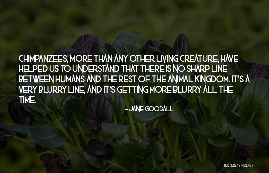 Cages Quotes Quotes By Jane Goodall Cages Quotes Quotes By Jane Goodall