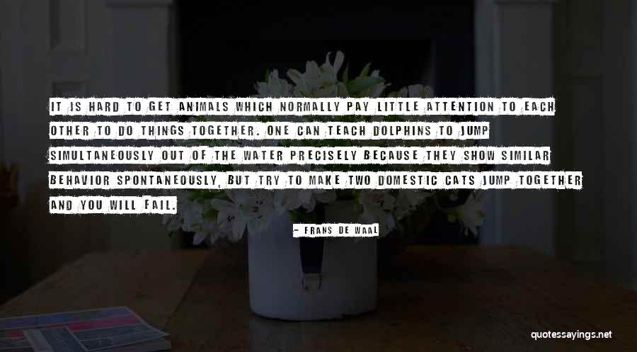 Cah Lontong Quotes By Frans De Waal Cah Lontong Quotes By Frans De Waal