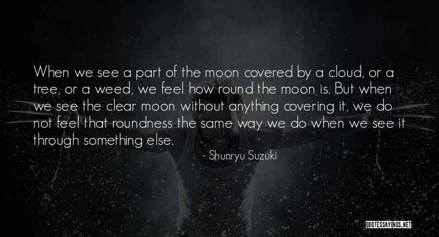 Cahiliye Quotes By Shunryu Suzuki Cahiliye Quotes By Shunryu Suzuki