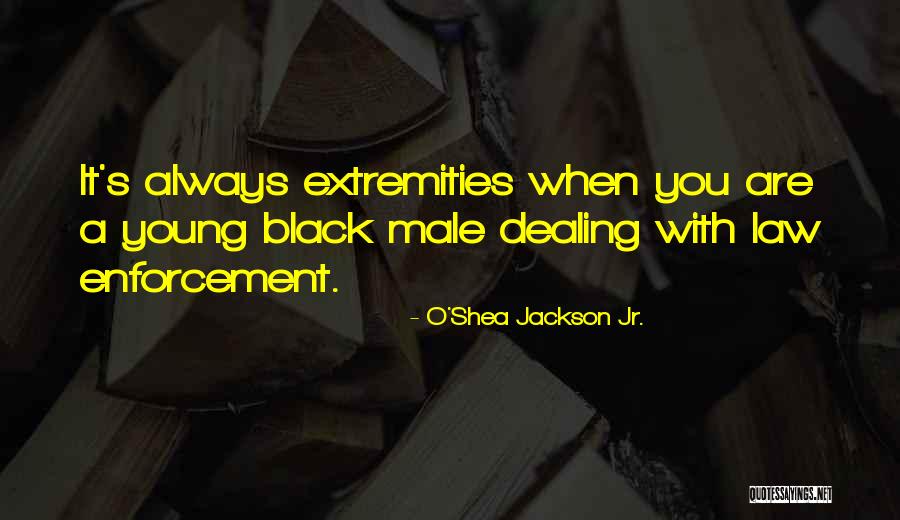 Caidos De Casa Quotes By O'Shea Jackson Jr. Caidos De Casa Quotes By O'Shea Jackson Jr.