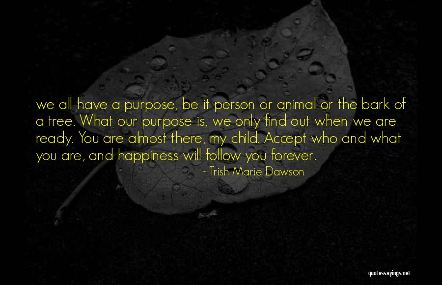 Cailin Stollar Quotes By Trish Marie Dawson Cailin Stollar Quotes By Trish Marie Dawson