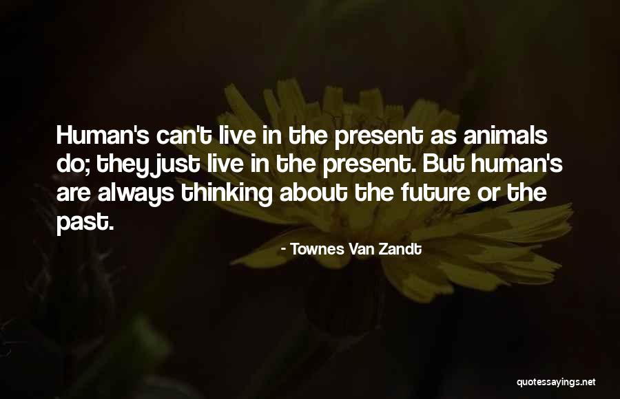 Caillois Roger Quotes By Townes Van Zandt Caillois Roger Quotes By Townes Van Zandt