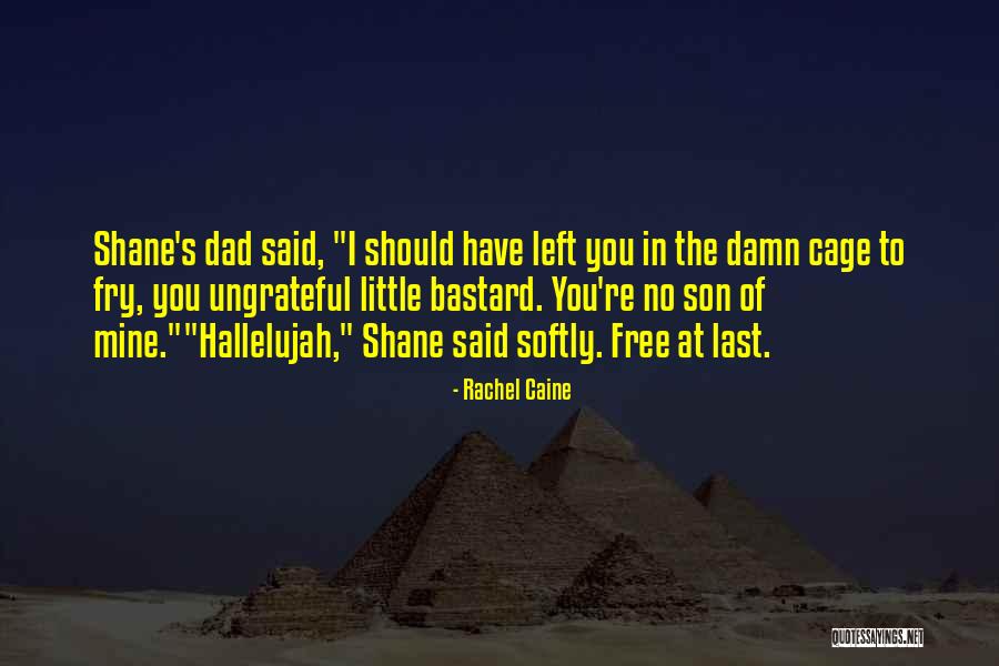 Caine Quotes By Rachel Caine Caine Quotes By Rachel Caine