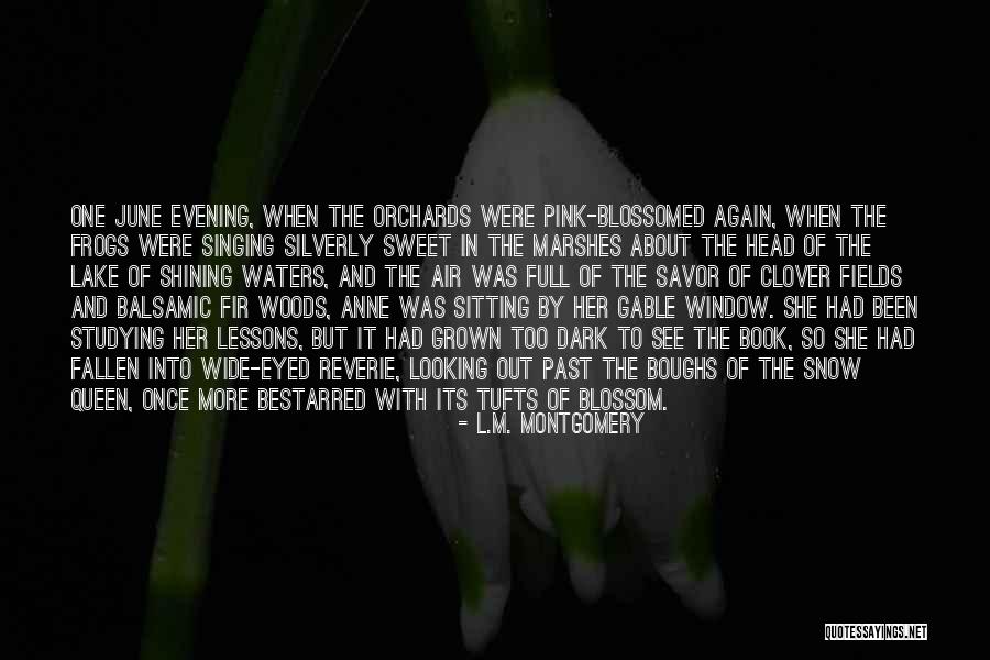 Caique Video Quotes By L.M. Montgomery Caique Video Quotes By L.M. Montgomery