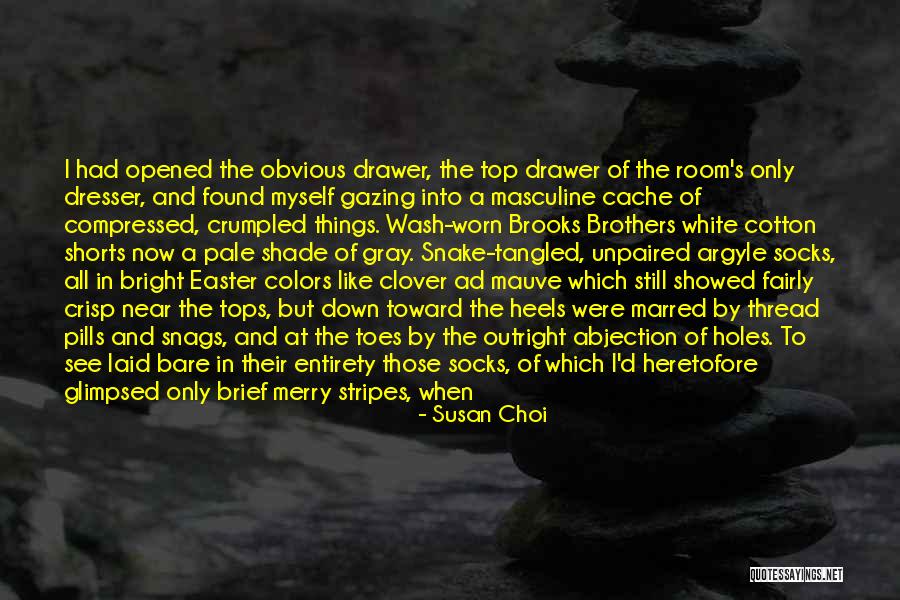 Cairelli Zenith Quotes By Susan Choi Cairelli Zenith Quotes By Susan Choi