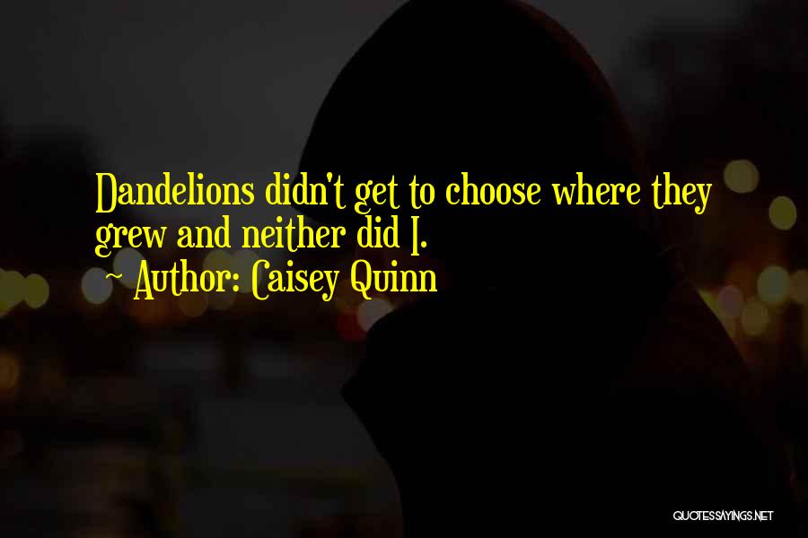 Caisey Quinn Quotes 2070442