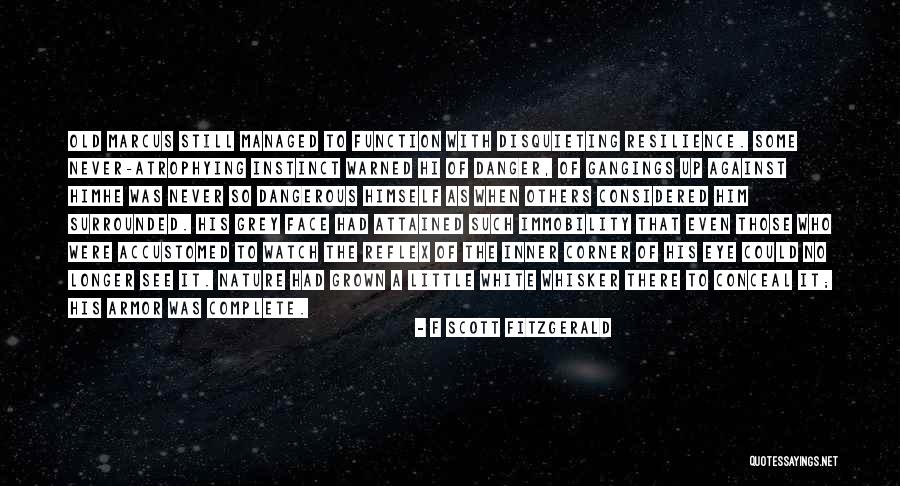 Caitlin Bacher Quotes By F Scott Fitzgerald Caitlin Bacher Quotes By F Scott Fitzgerald