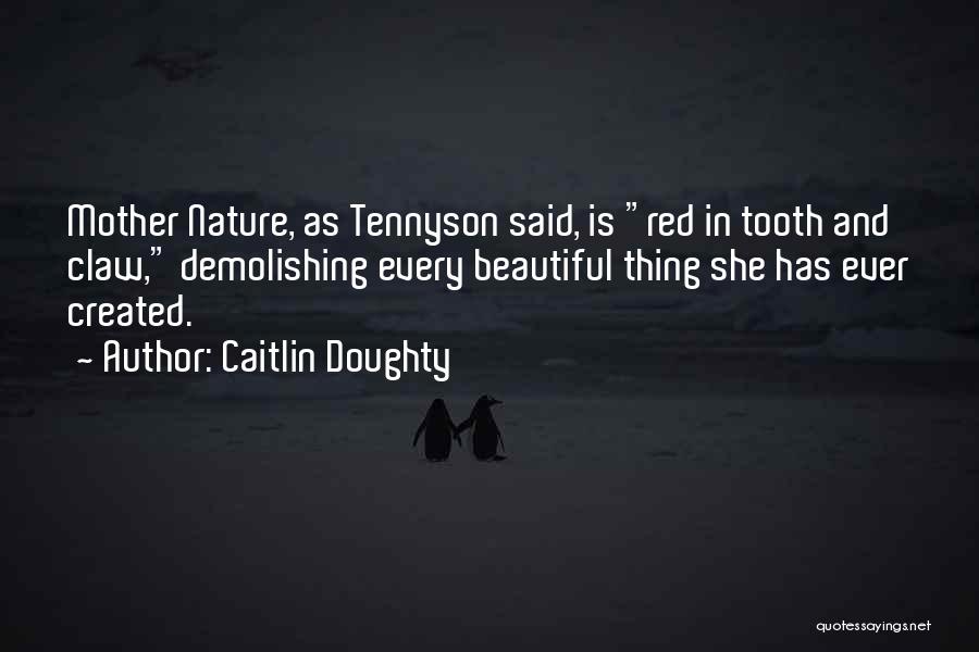 Caitlin Doughty Quotes 280406