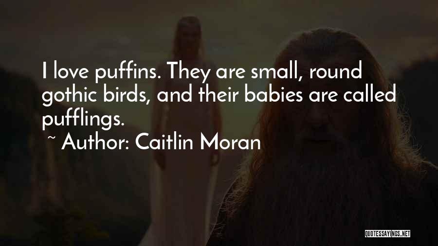 Caitlin Moran Love Quotes By Caitlin Moran