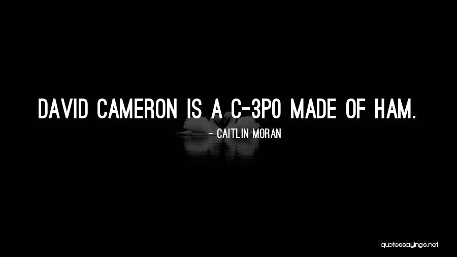 Caitlin Moran Quotes 1032604 Caitlin Moran Quotes 1032604