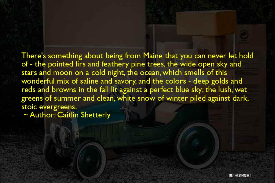 Caitlin Shetterly Quotes 1854331