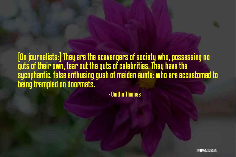 Caitlin Thomas Quotes 1267267