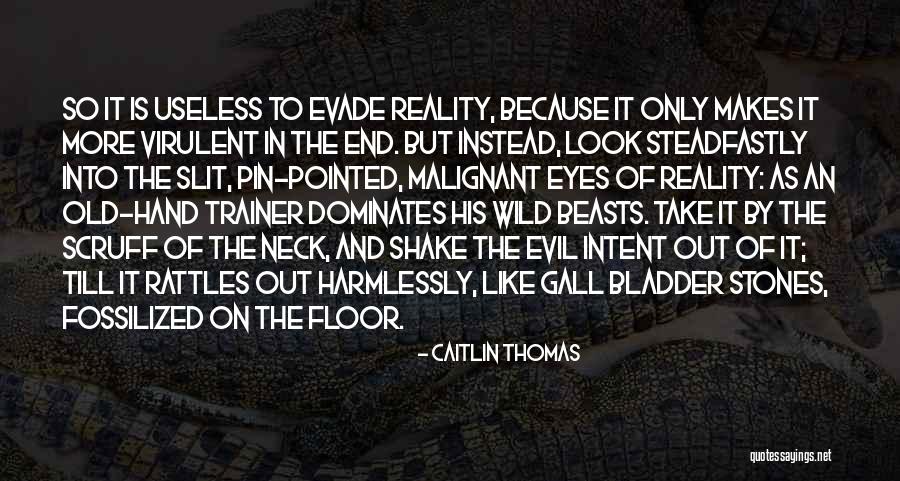 Caitlin Thomas Quotes 1845572 Caitlin Thomas Quotes 1845572