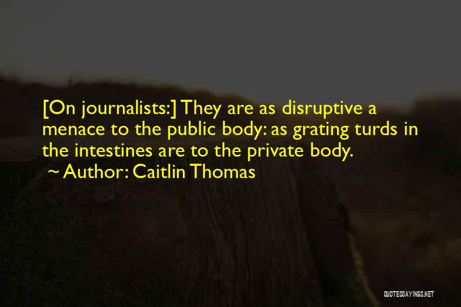 Caitlin Thomas Quotes 403783