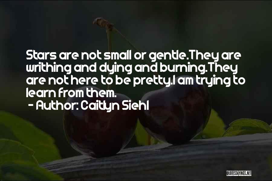 Caitlyn Siehl Quotes 1536428