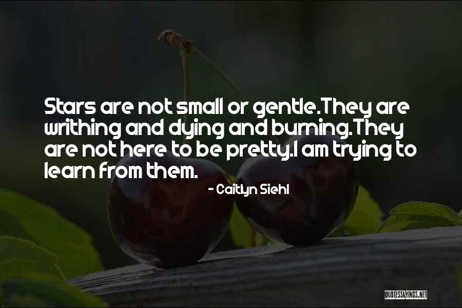 Caitlyn Siehl Quotes 1536428 Caitlyn Siehl Quotes 1536428