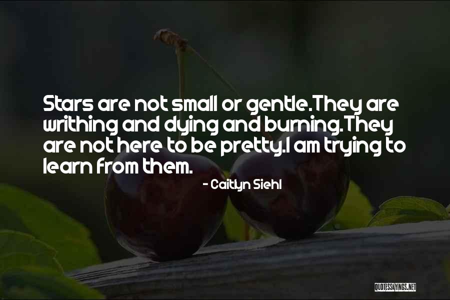 Caitlyn Siehl Quotes 1536428