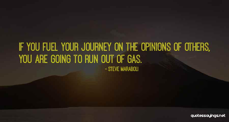 Caitrin Rogers Quotes By Steve Maraboli