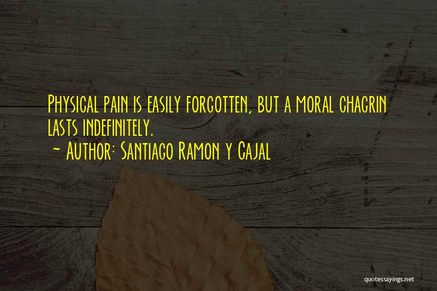 Cajal Quotes By Santiago Ramon Y Cajal