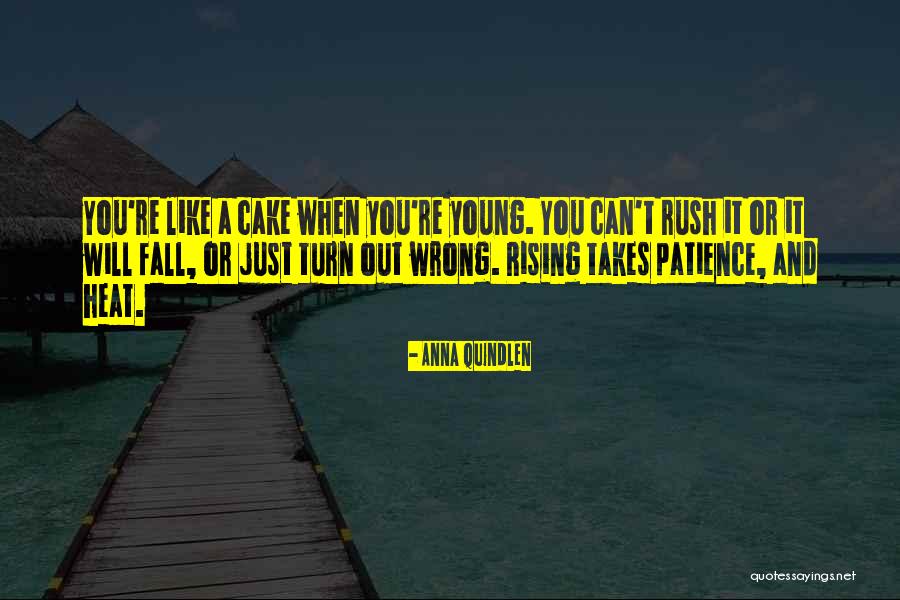 Cake Not Rising Quotes By Anna Quindlen Cake Not Rising Quotes By Anna Quindlen